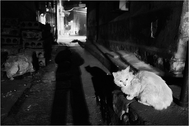 Compact Camera, Best Photo of the Day in Emphoka by Huang Qing, Ricoh GR APSC, https://flic.kr/p/jcFpoE Compact Camera, Best Photo of the Day in Emphoka by Huang Qing, Ricoh GR APSC, https://flic.kr/p/jcFpoE