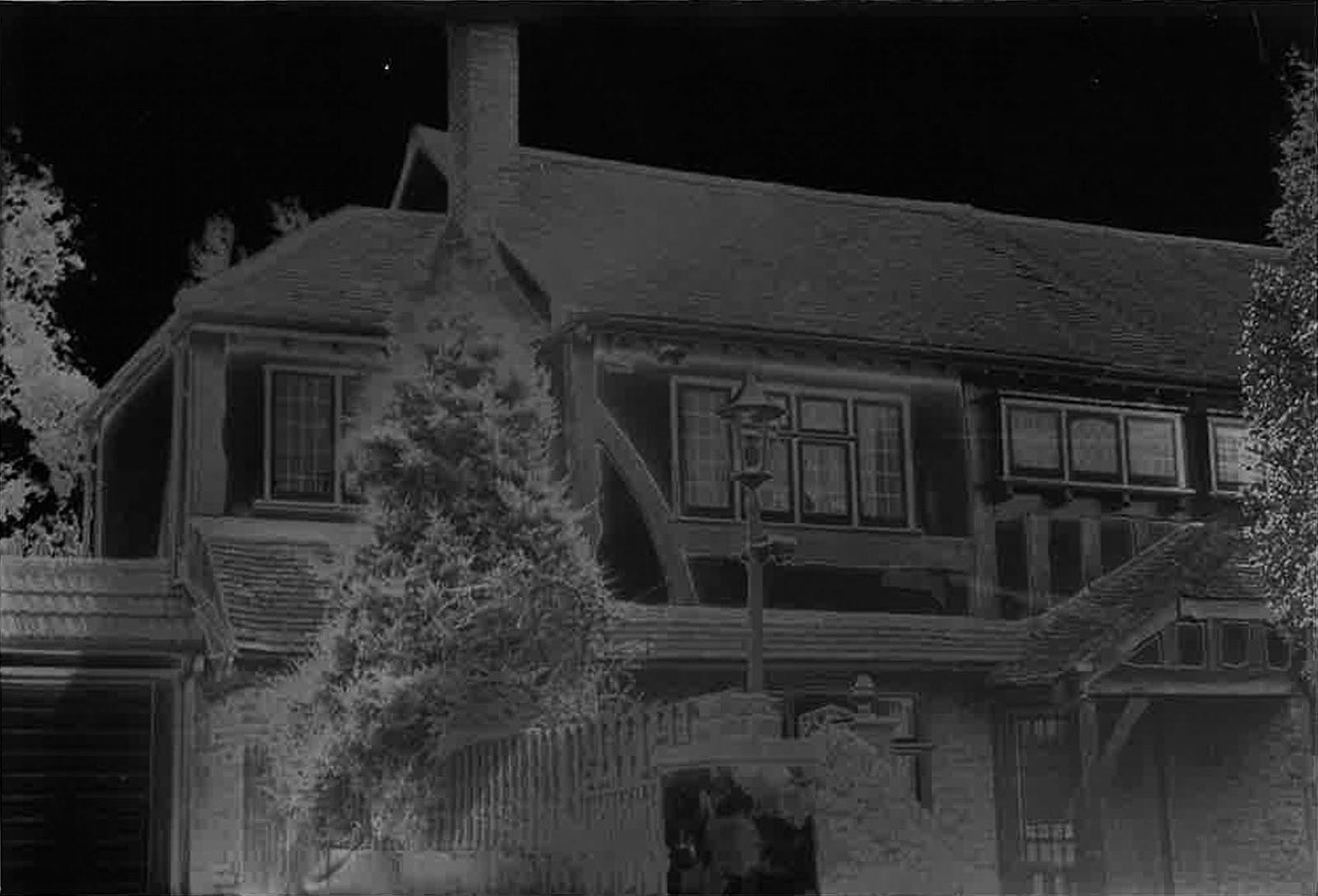 Rochelle Youngs Photography Blog Solarisation Experiments