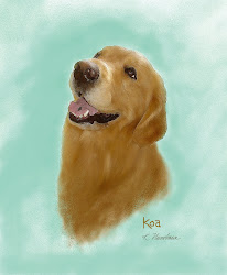 Koa portrait