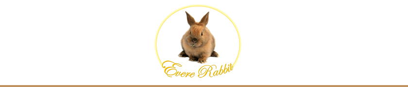 Evere Rabbit