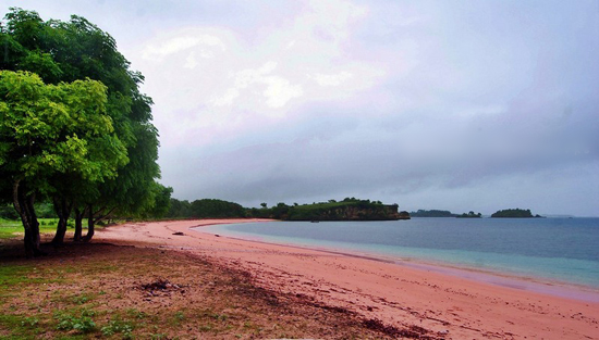 Pantai Pink /Tangsi, Lombok