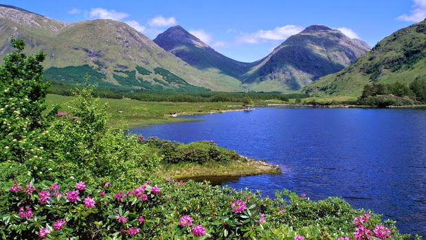 spring landscape hd wallpapers