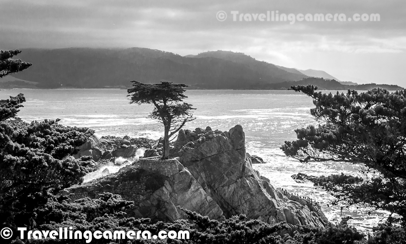 17 Mile Drive Is A Scenic Road Through Pacific Grove And