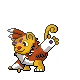 front-pre%2Bevo%2Btrans%2B%2528no%2Btooth%2529.png