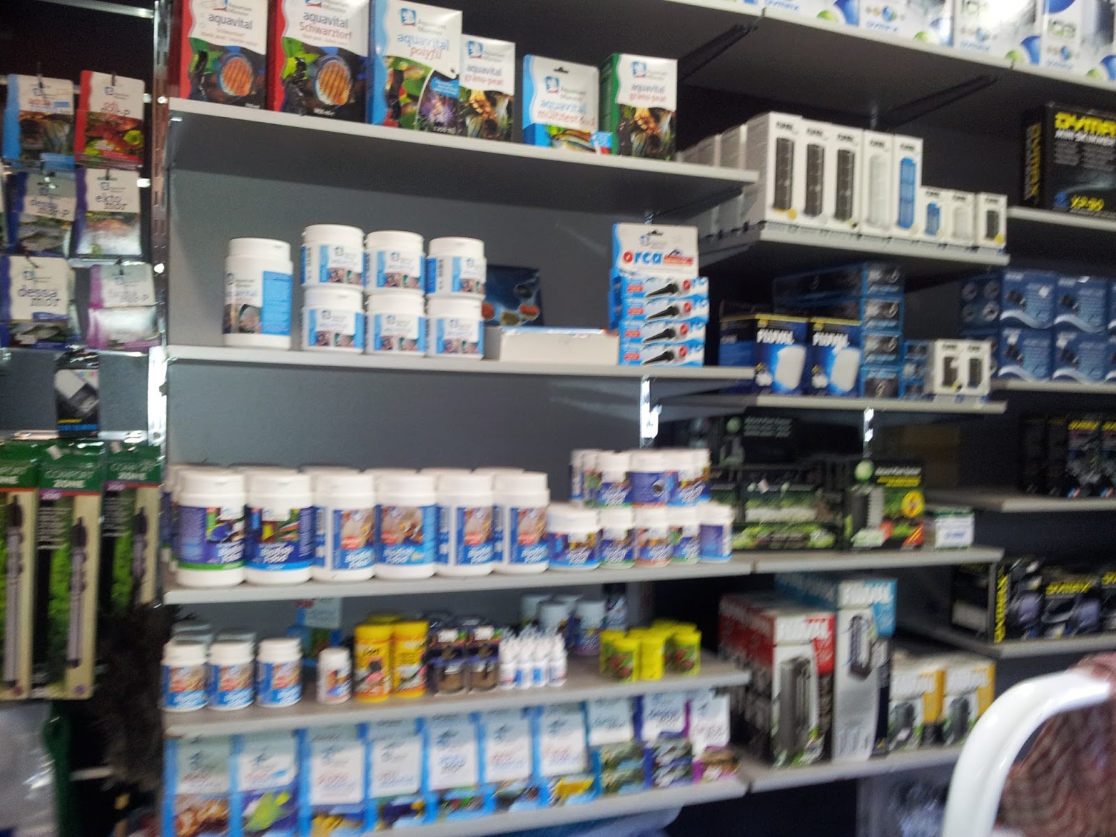 Life in Kuwait Blog Pet shop in Discovery Mall