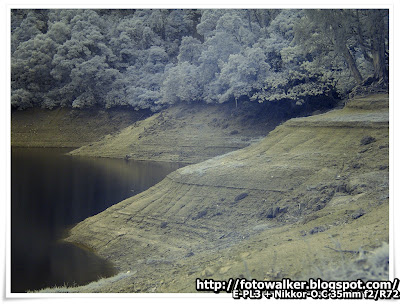 紅外線攝影@城門水塘 (Infrared Photograph@Shing Mun Reservoir)