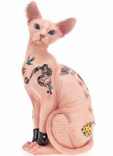 sphynx-cat-tattoo sphynx cat tattoo skin