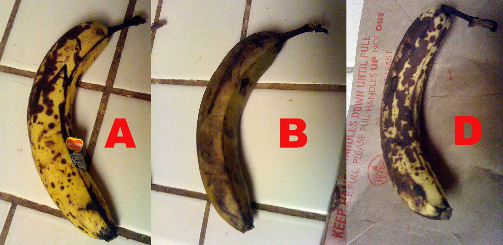 The travails, er, TRAVELS of John Baker Go ahead, put your bananas in