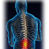 Principais patologias da Coluna Vertebral