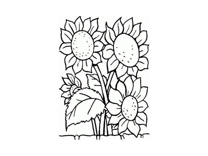 PLASTICANO, el blog de Plástica: JUGANDO CON EL COLOR