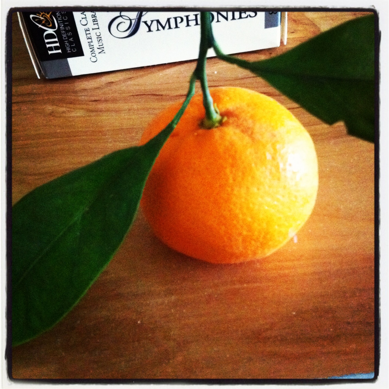 discovering real satsumas Dot & Lil