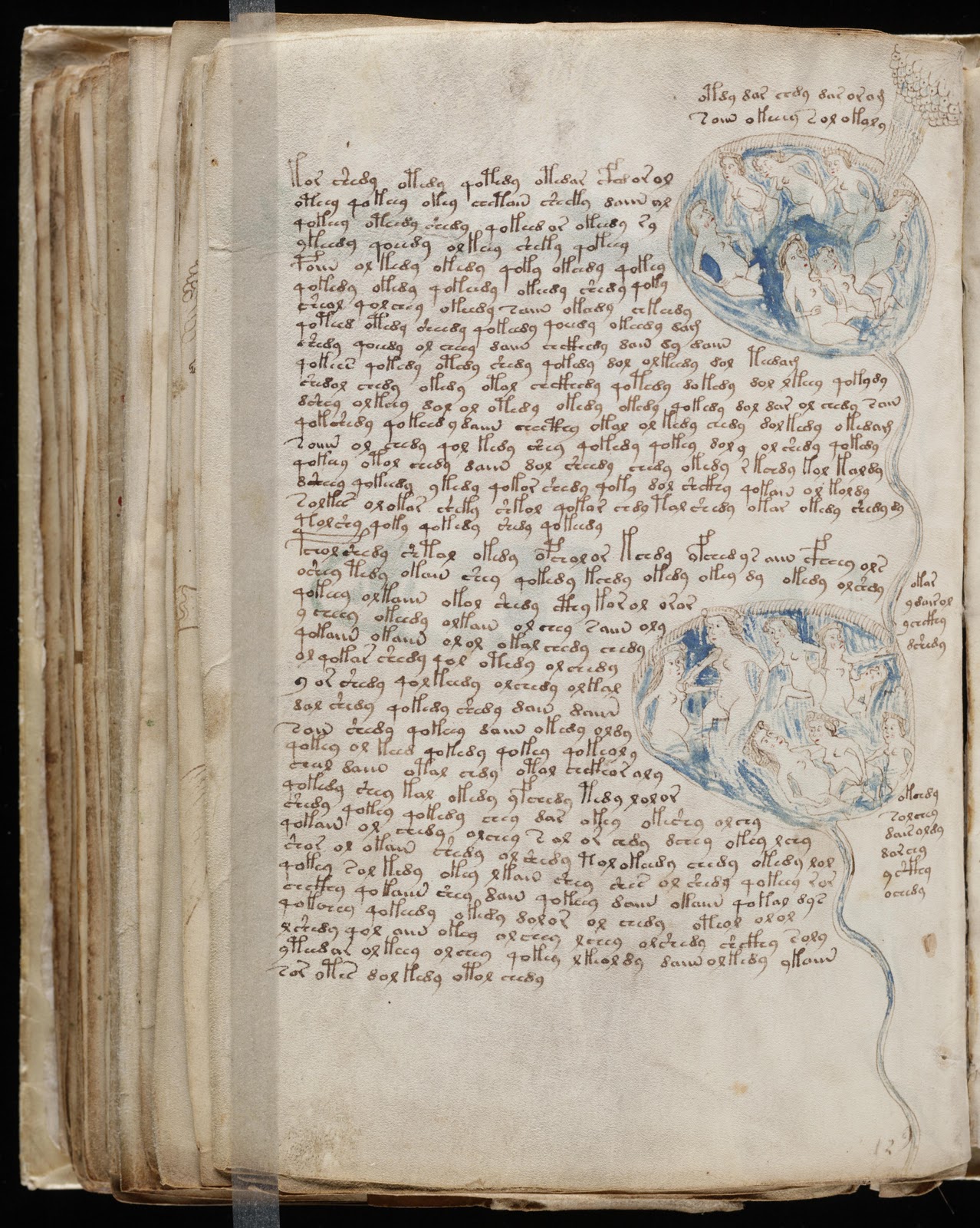 voynich manuscript high resolution