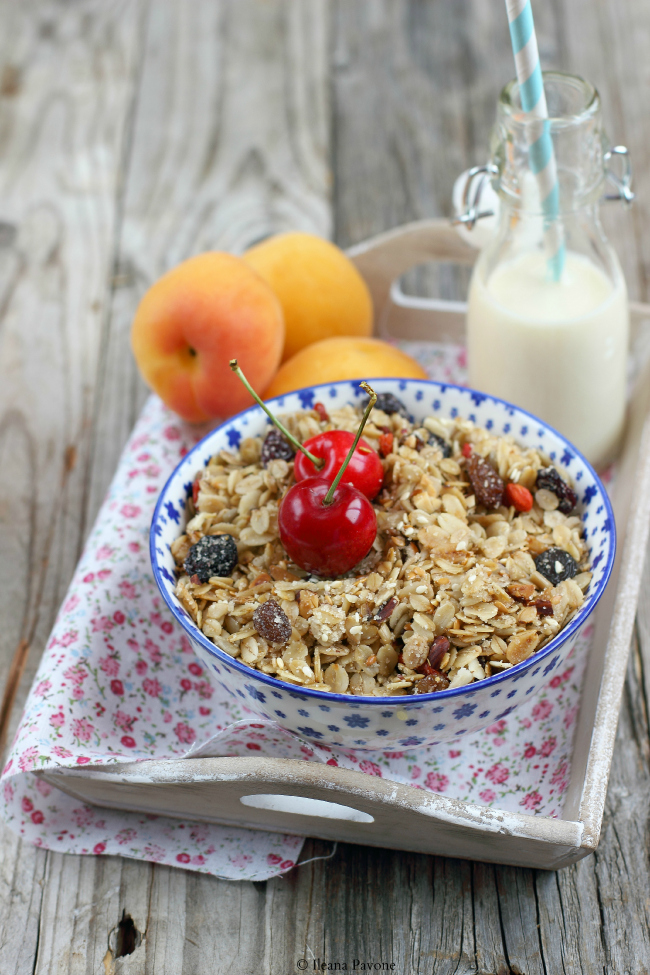 granola homemade con amarene, uvetta e bacche di goji ( vegan )