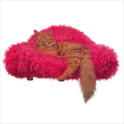 luxury cat beds furniture tiny cat cat beds pet furniture luxury bed furniture lifestyle design luxury cat beds furniture tiny cat cat beds pet furniture luxury bed furniture lifestyle design