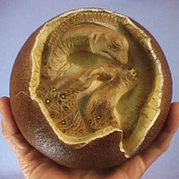 Telur Dinosaurus