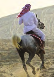 Kisah Suraqah bin Malik Kisah Suraqah bin Malik