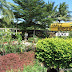 Haniz Nursery