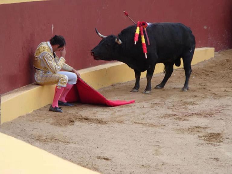 Dinx Passion Stop Bullfights please....