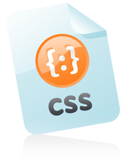 difference between html and css pdf