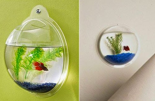 Creative Art And Craft Ideas Betta Fish