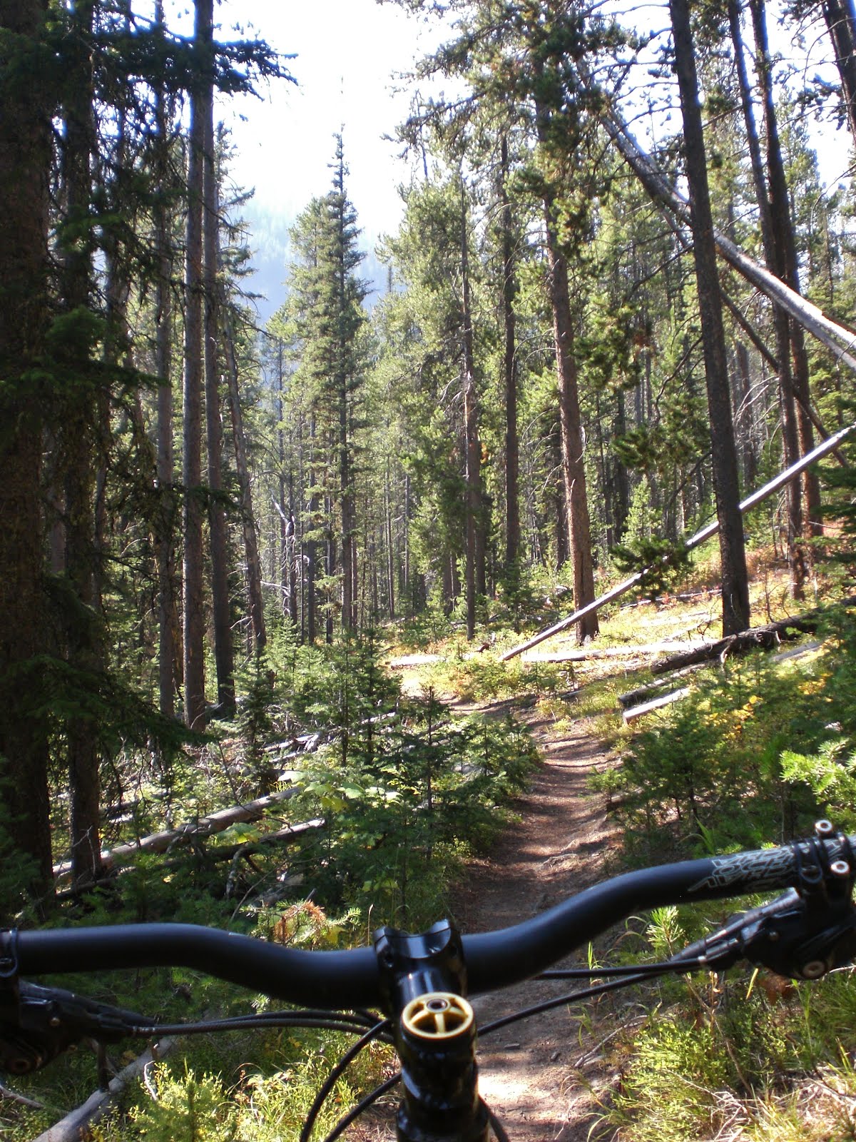 ONE TRAIL AT A TIME... Mile Creek to Sheep creek... Backcountry adventure