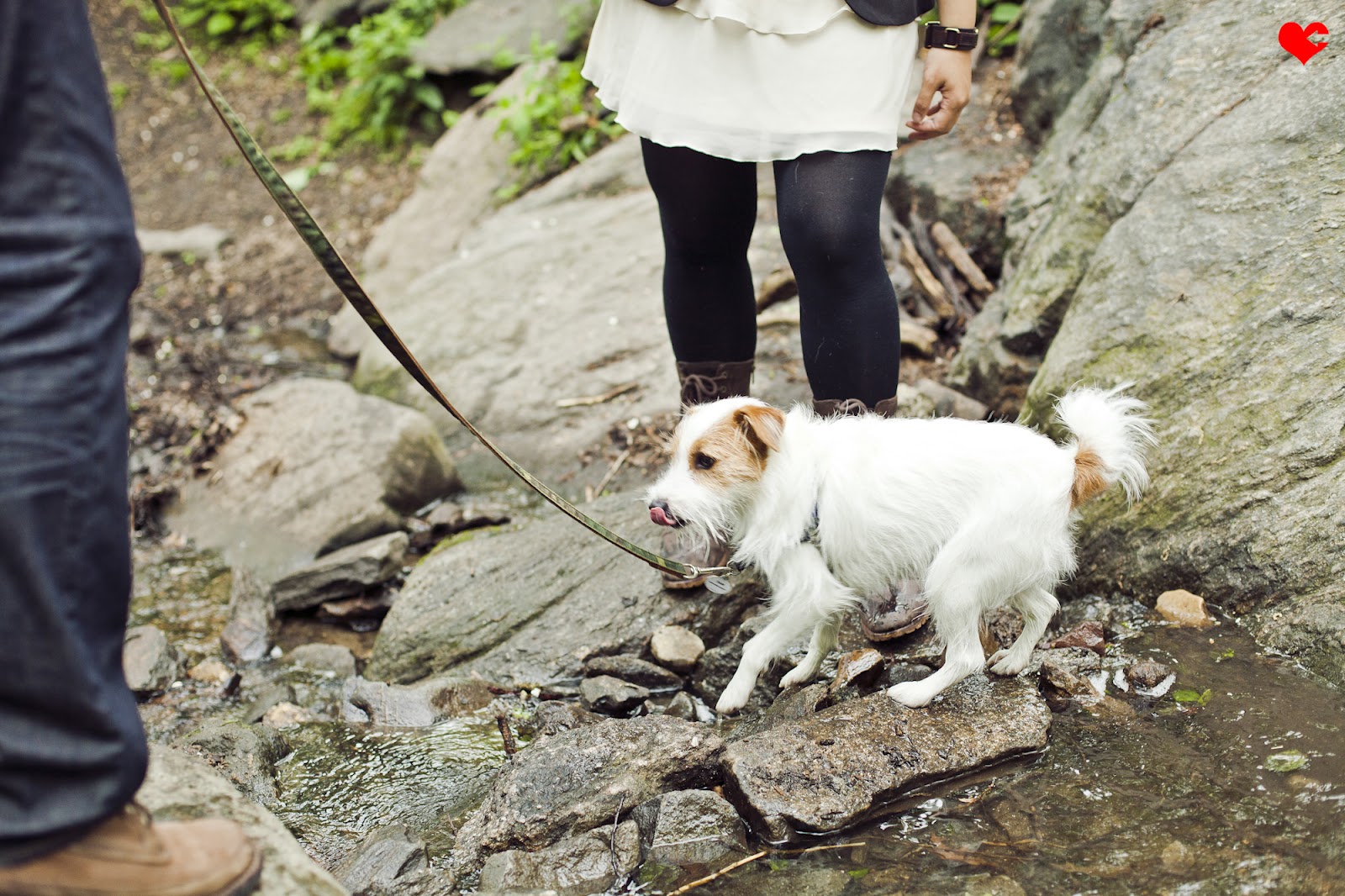 NYC Photo Blog beIMAGED Photography beBLOGGED a couple + their dog