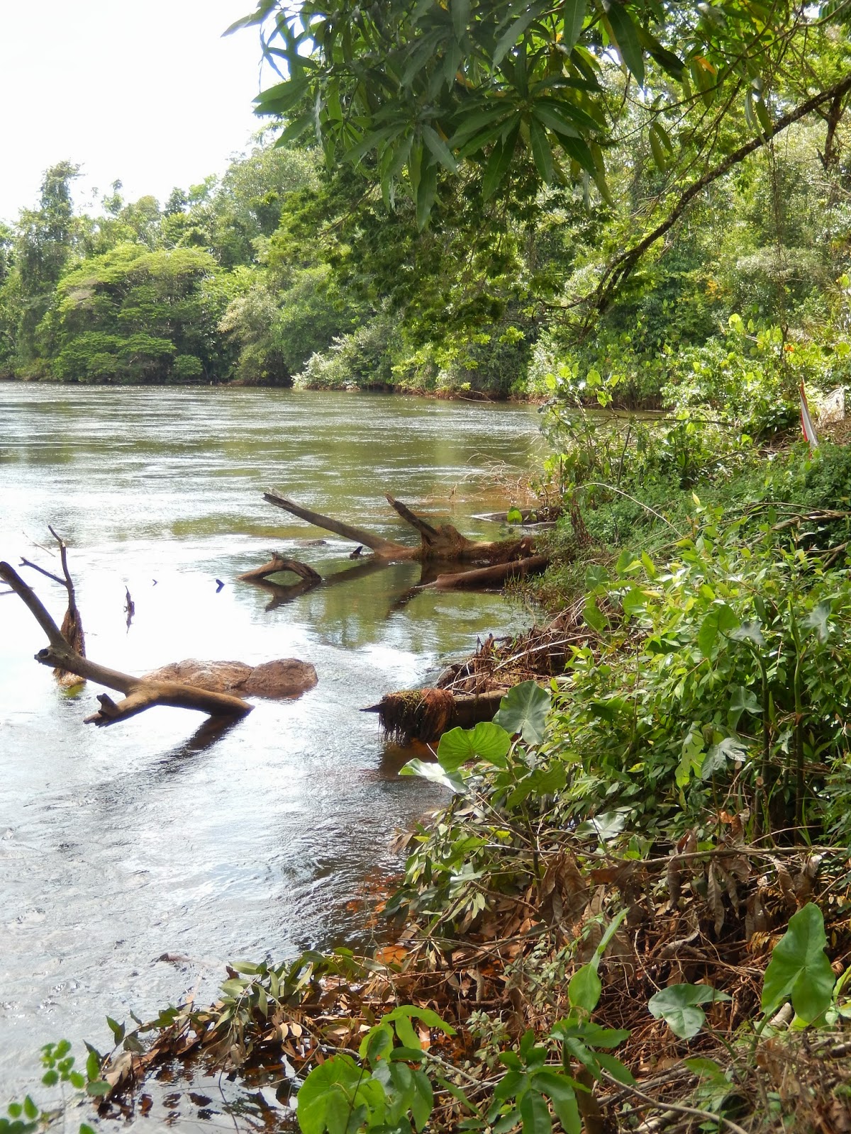 suriname Brokopondo suriname Brokopondo