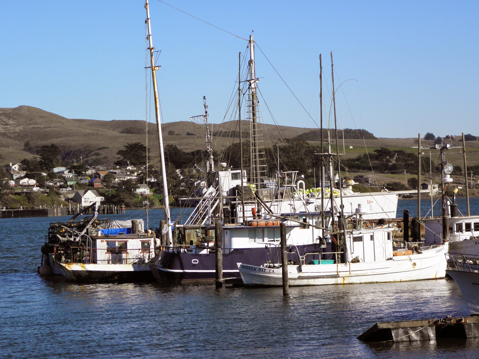 Fine And Funky Dining At Bodega Bay January 21/22, 2013 the DIY food