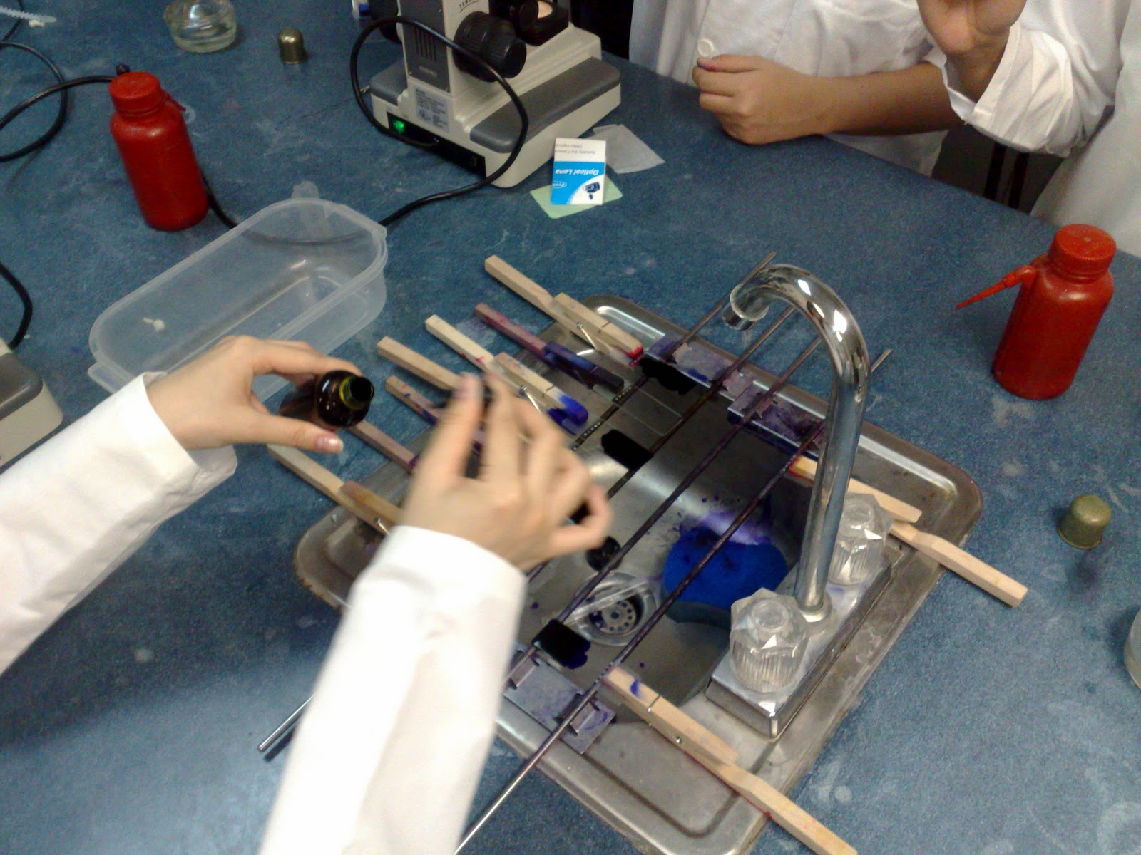 Laboratorio de Microbiologia: Tinción de Gram