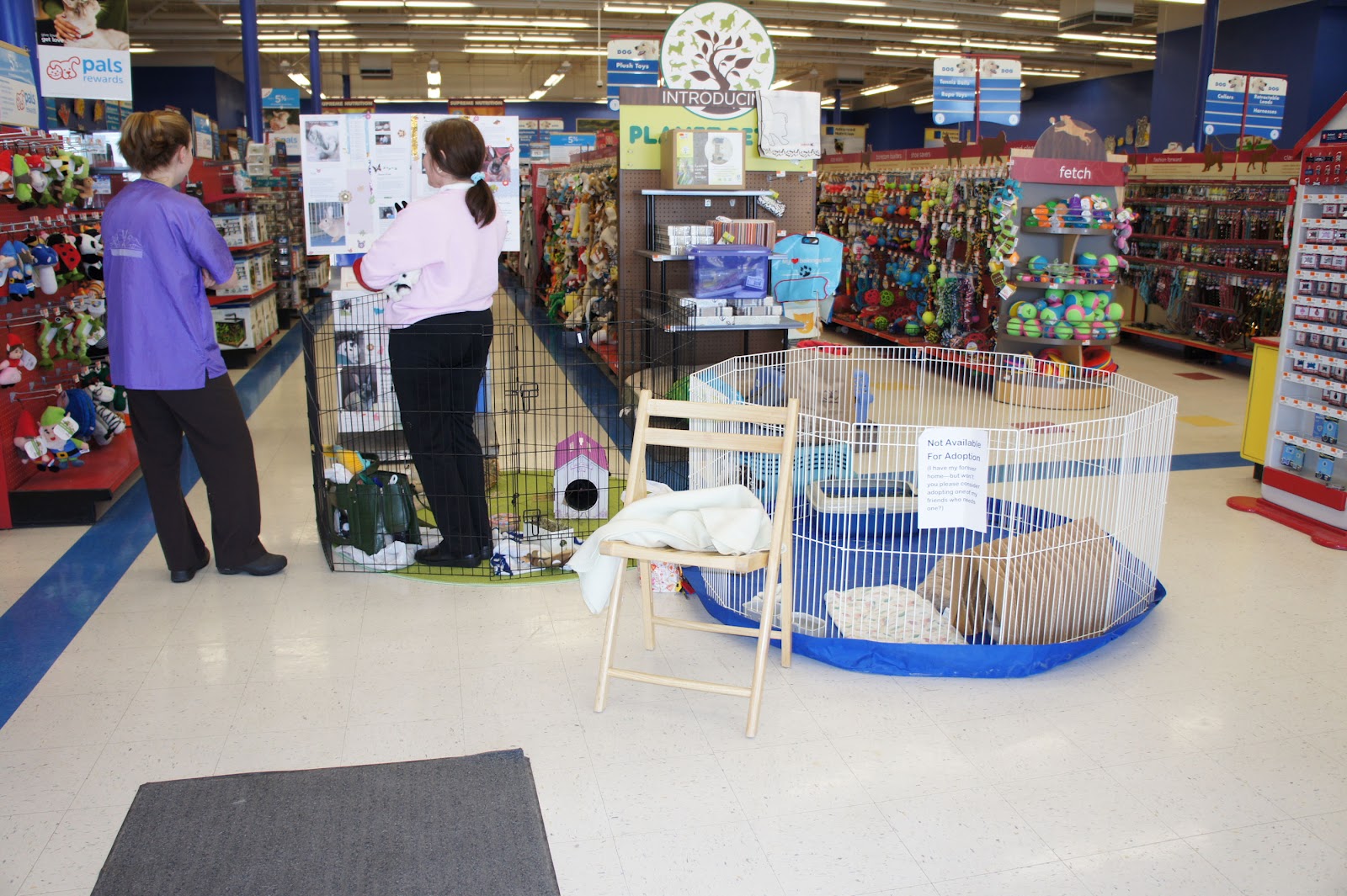 The Zen of Bun Our Weekend at Petco