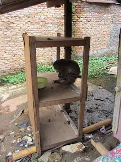 Koja spent many years living like this.