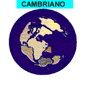 cordon de fuego