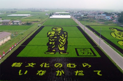 pemandangan sawah indah di kota jepang pemandangan kota jepang