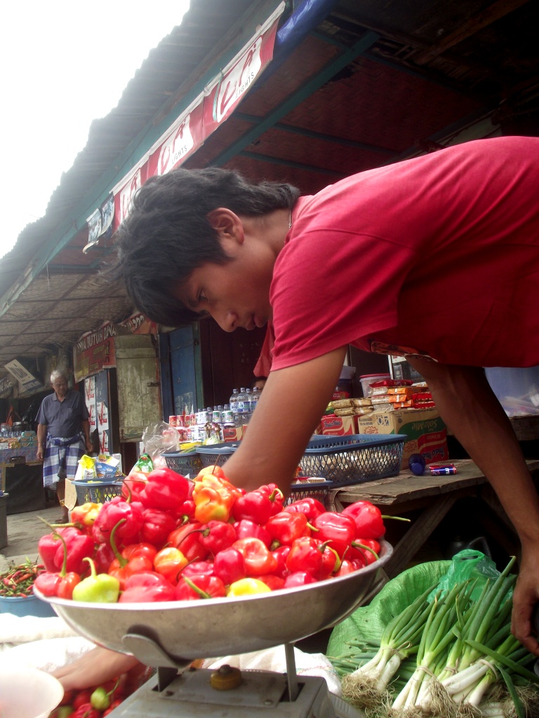 Berna Dian: Pesona Toraja Utara
