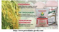 Lowongan Kerja D3 PT Petrokimia Gresik Lowongan Kerja D3 PT Petrokimia Gresik