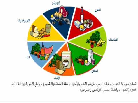 ماهي العناصر الغذائية التى يحتوى عليها البيض؟ الماء الأملاح المعدنية البروتين الفيتامينات الكربوهيدرات الدهون