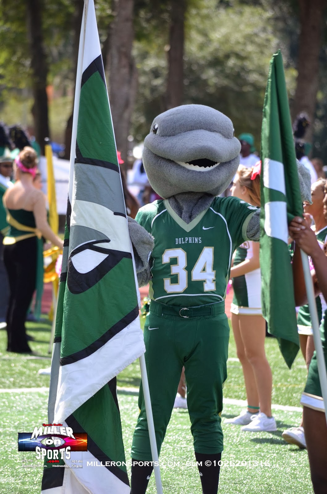 Jacksonville Dolphins mascot, Dunk'n Dolphin Jacksonville university