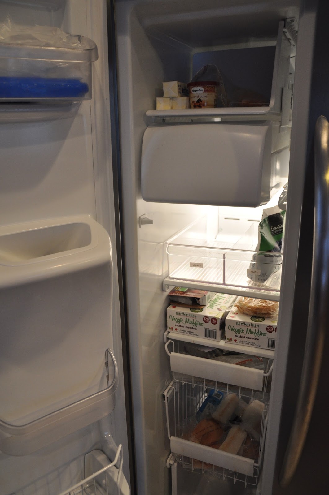 MS. Simplicity Freezer Clean Out