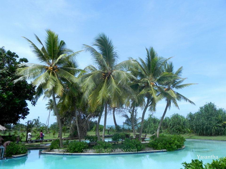 Kosgoda Beach Hotel Contact Kosgoda Beach Hotel Contact