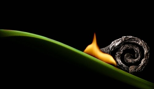 14-Match-Snail-Flame-Russian-Photographer-Illustrator-Stanislav-Aristov-PolTergejst-www-designstack-co