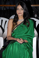 Its My Love Story Movie Audio Launch