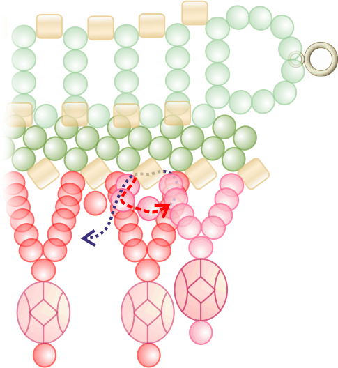 صناره+نت 13. a) Pick up 3F, 1G, 1F, go with thread up through the G and 3rd F ...