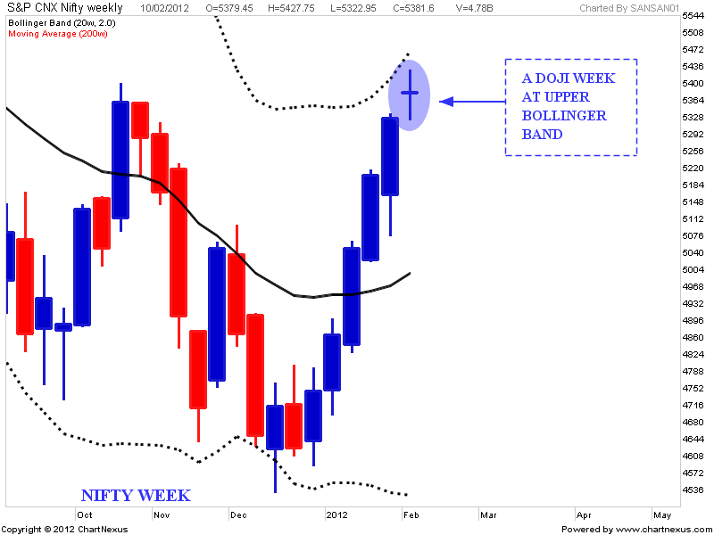Tzh forex
