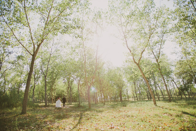 Un Matrimonio romantico e circense | ©2012 Adriano Mazzocchetti Real wedding, wedding inspiration blog, italian wedding