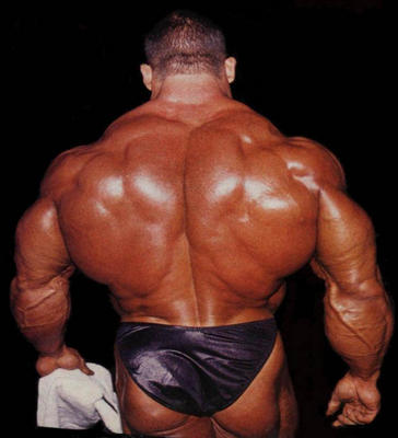Big Lats