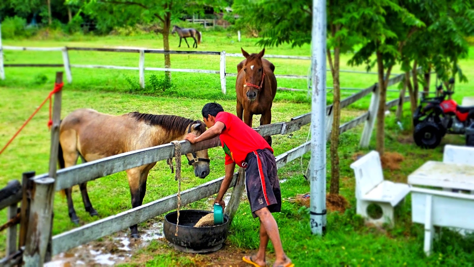 SN Farm Thap Sakae SN Farm Thailand