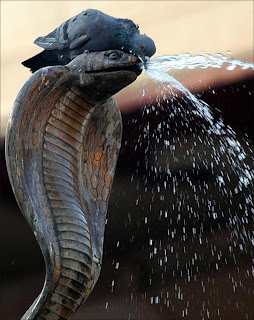 It Happens Only In India, funny indian pictures, FUN, funny pictures,