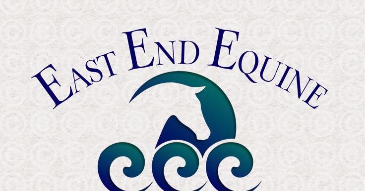 Horse Logos: Equine Veterinary Logo Designs