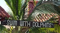 SWIM WITH DOLPHINS VARADERO