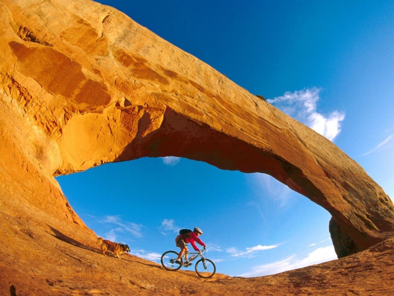 http://4.bp.blogspot.com/-R2iyOAjDslU/T6vzSkHq1ZI/AAAAAAAAAMY/QxY0ikAlDRo/s1600/Cycling-Mountain-Bike-002.jpg